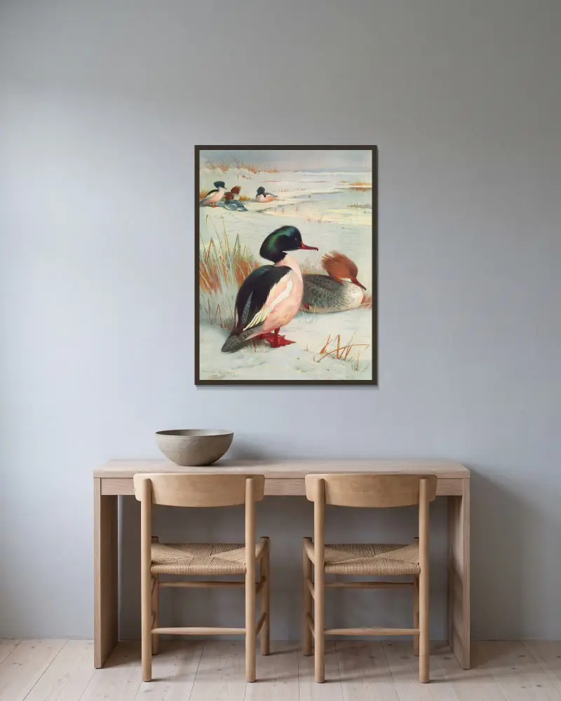 Goosander av Archibald Thorburn inramad på en vägg