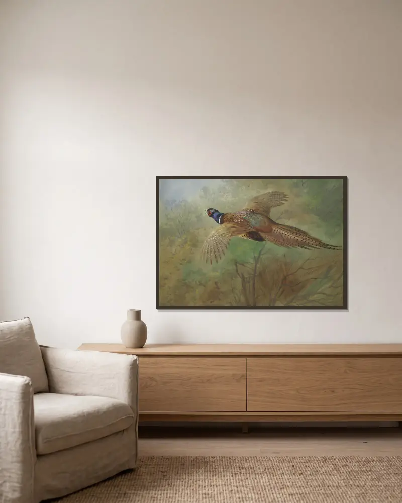 Pheasant In Flight av Archibald Thorburn inramad på en vägg
