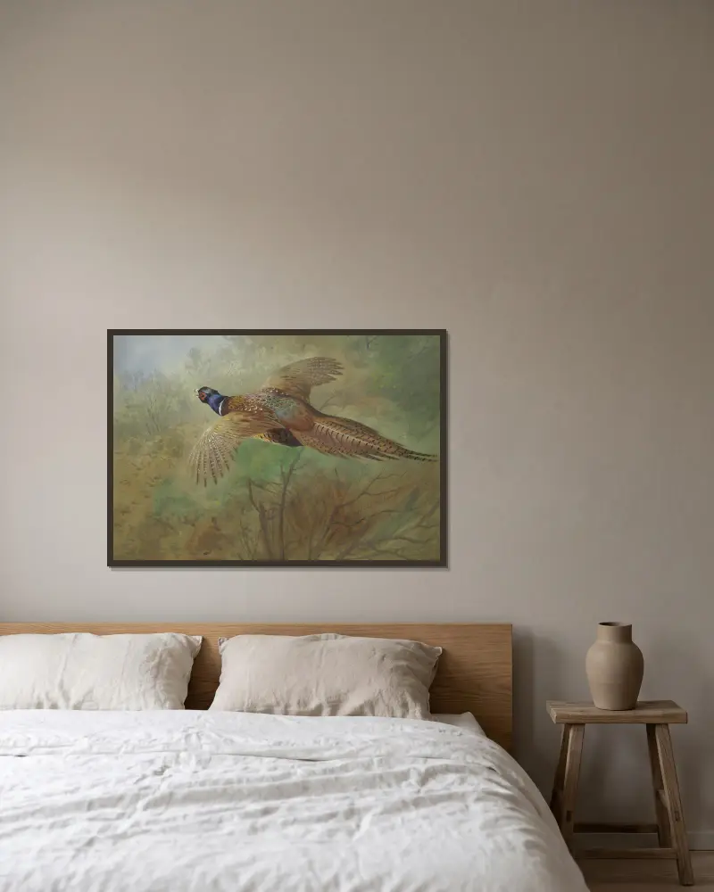 Pheasant In Flight av Archibald Thorburn inramad på en vägg