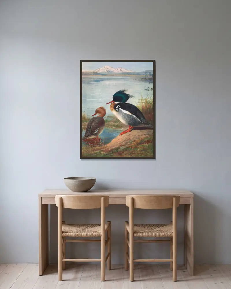 Red-Breasted Merganser av Archibald Thorburn inramad på en vägg