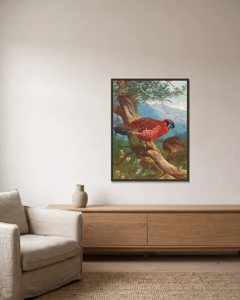 Temmincks Tragopan von Archibald Thorburn gerahmt an einer Wand