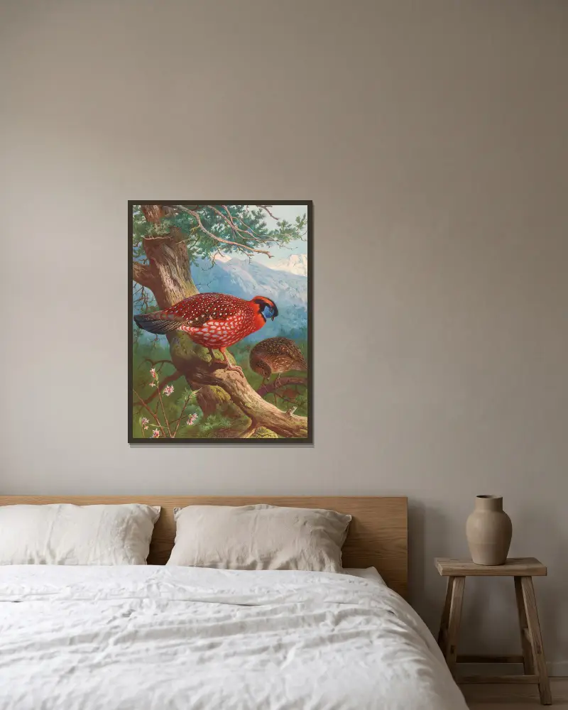 Temmincks Tragopan von Archibald Thorburn gerahmt an einer Wand