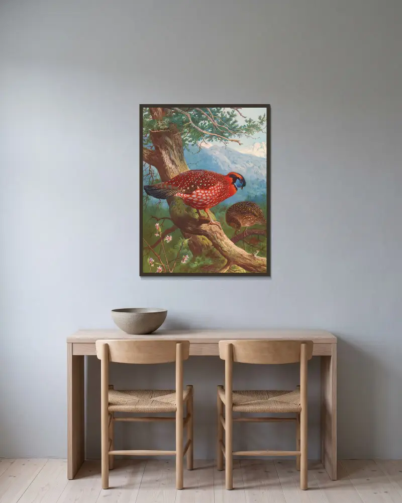 Temmincks Tragopan von Archibald Thorburn gerahmt an einer Wand