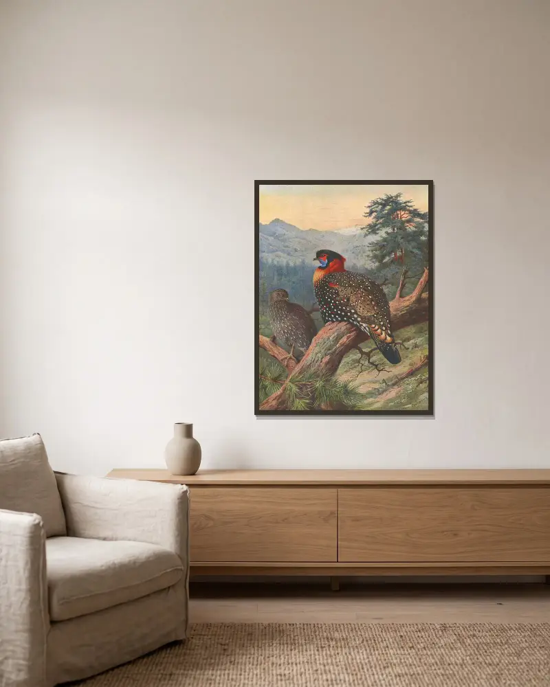 Western Tragopan av Archibald Thorburn inramad på en vägg