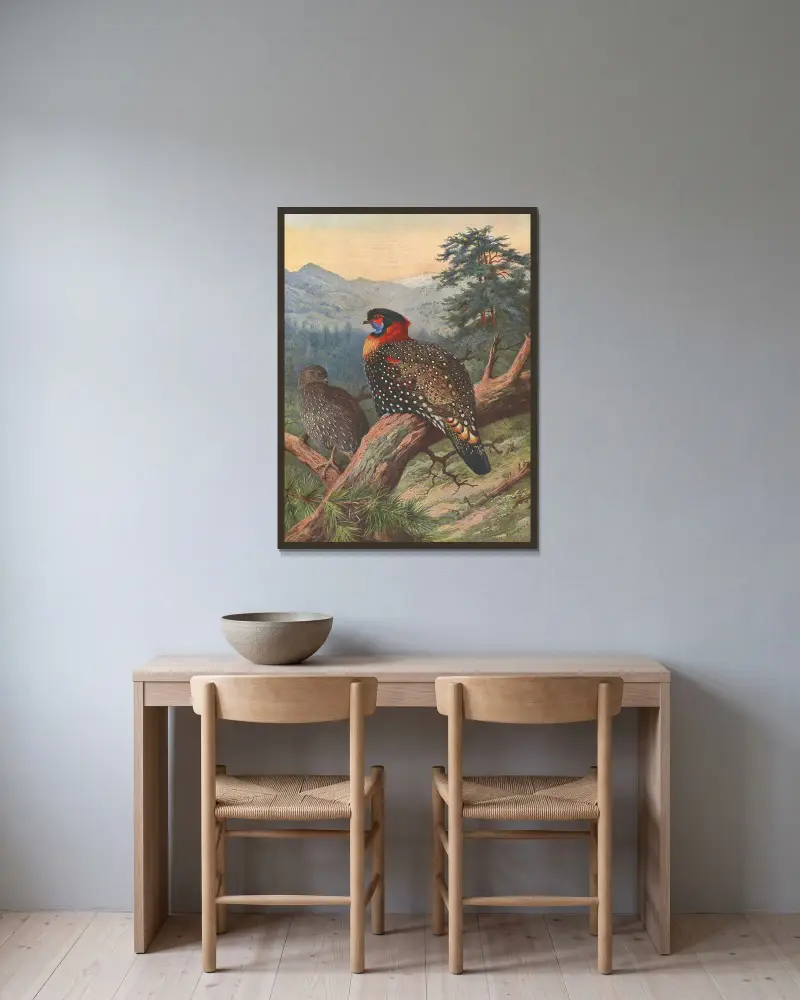 Western Tragopan av Archibald Thorburn inramad på en vägg