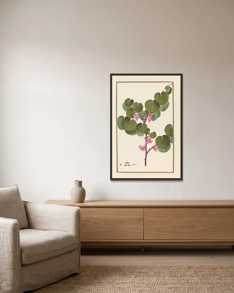 Stirpium imagines LXXV Pl.17 av Baldassare Cattrani inramad på en vägg
