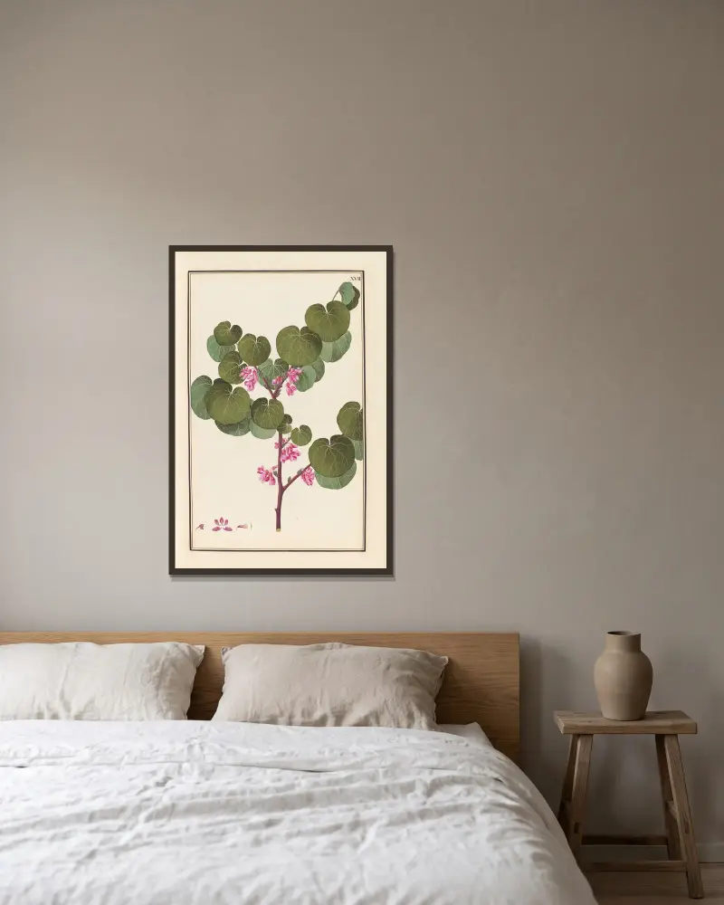 Stirpium imagines LXXV Pl.17 av Baldassare Cattrani inramad på en vägg