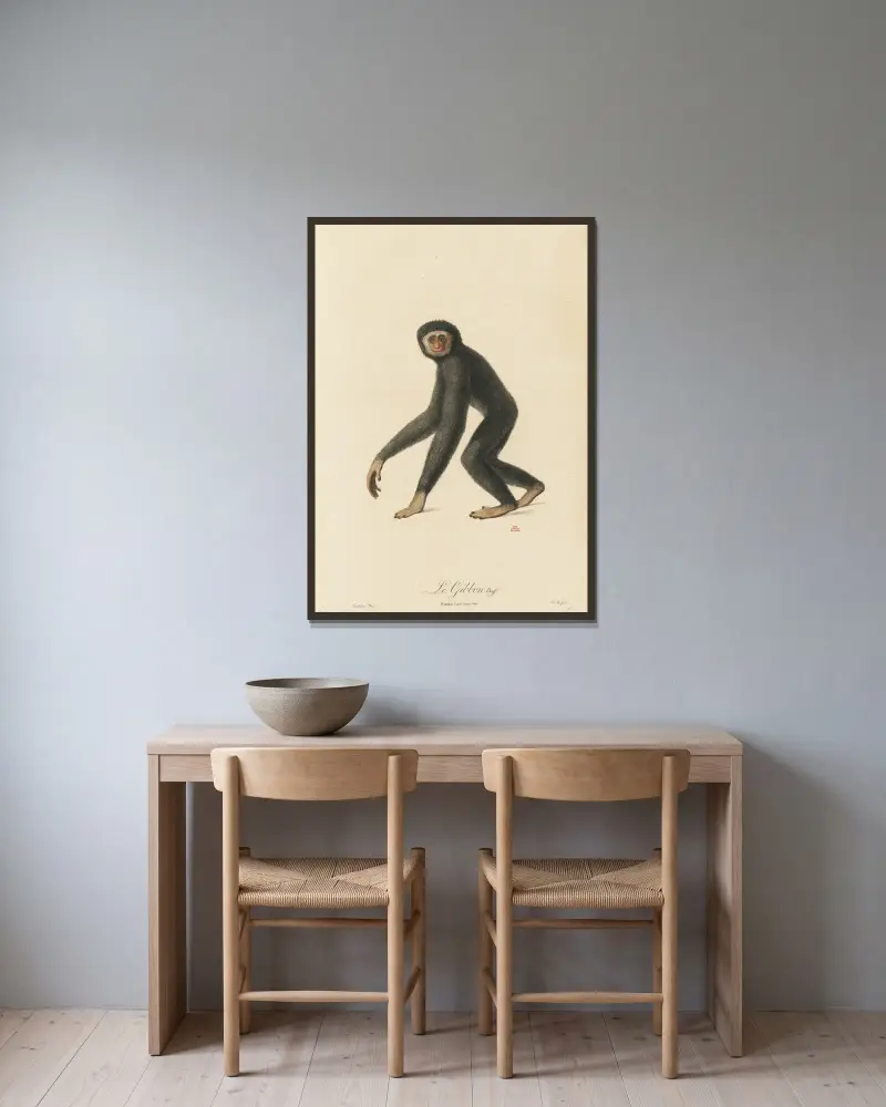 Gibbon, Jean-Baptiste Audebert v rámu na stěně