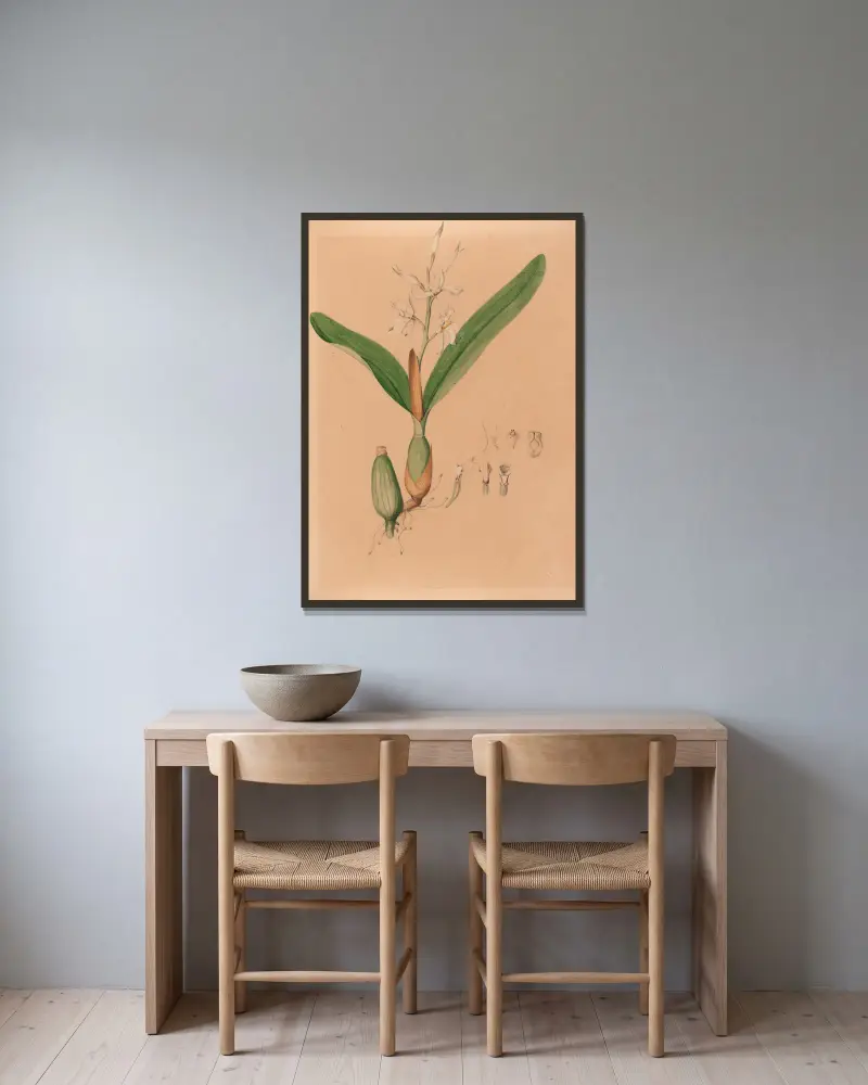 Iconographie des orchidées du Brésil Pl.15 von João Barbosa Rodrigues gerahmt an einer Wand