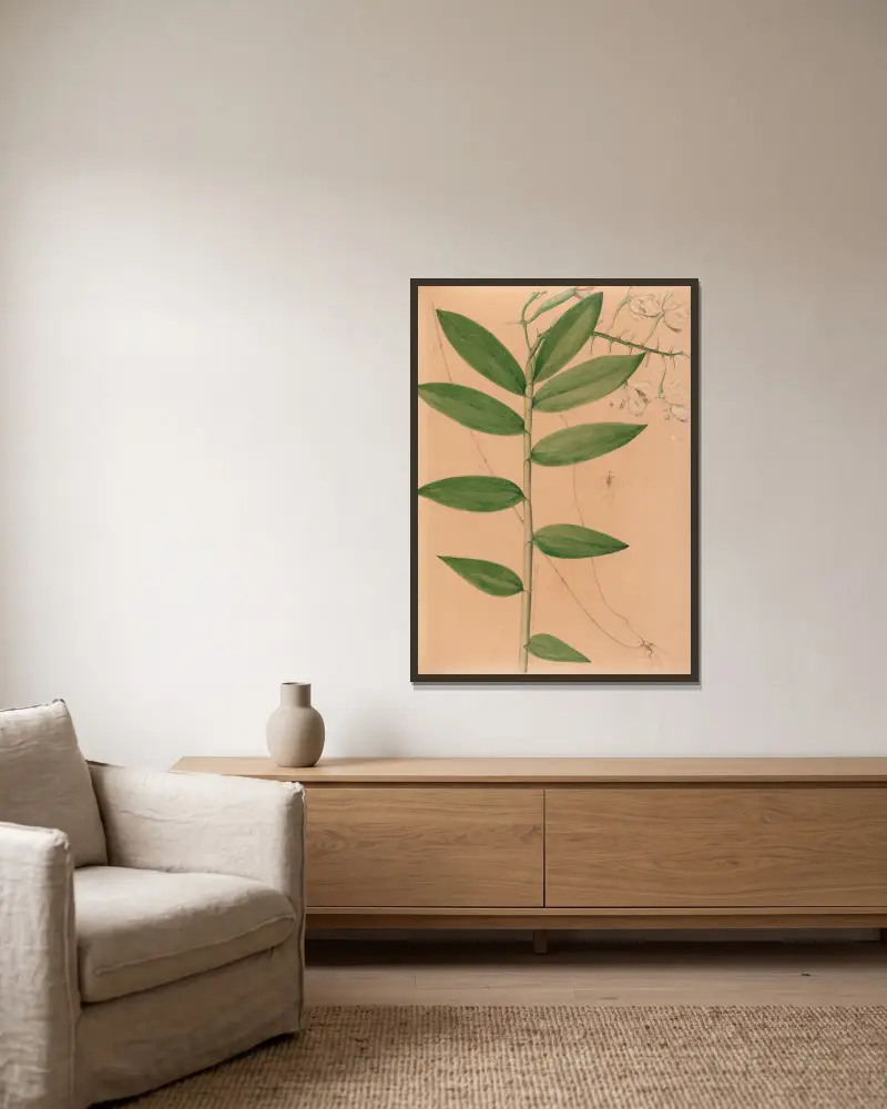 Iconographie des orchidées du Brésil Pl.19 von João Barbosa Rodrigues gerahmt an einer Wand