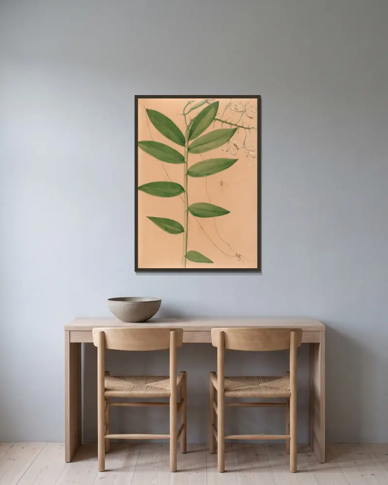 Iconographie des orchidées du Brésil Pl.19 von João Barbosa Rodrigues gerahmt an einer Wand
