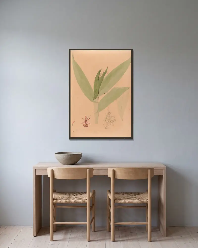 Iconographie des orchidées du Brésil, Tafel 20 von João Barbosa Rodrigues gerahmt an einer Wand