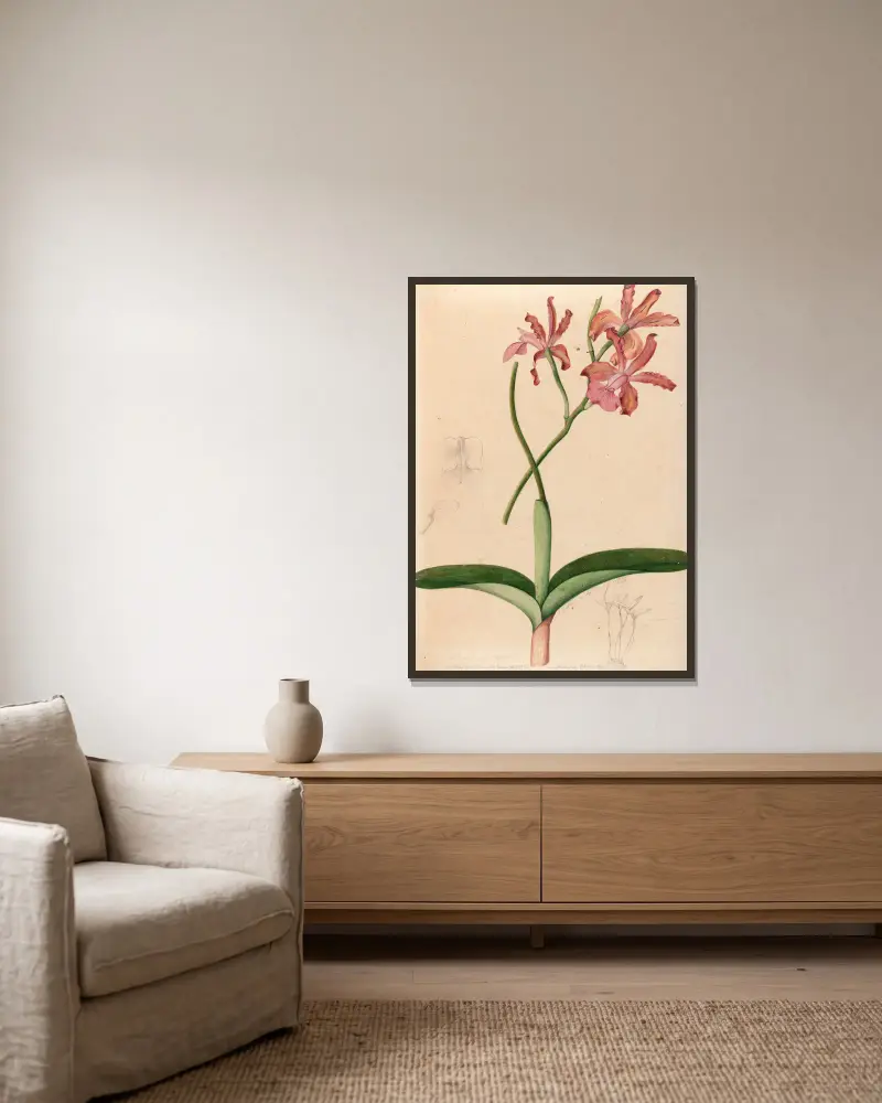 Iconographie des orchidées du Brésil Pl. 47 von João Barbosa Rodrigues gerahmt an einer Wand