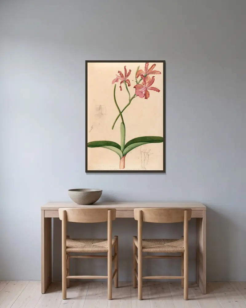 Iconographie des orchidées du Brésil Pl. 47 von João Barbosa Rodrigues gerahmt an einer Wand