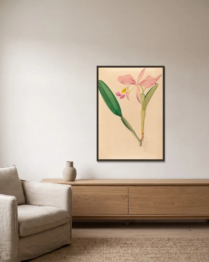 Iconographie des orchidées du Brésil Pl. 49 von João Barbosa Rodrigues gerahmt an einer Wand