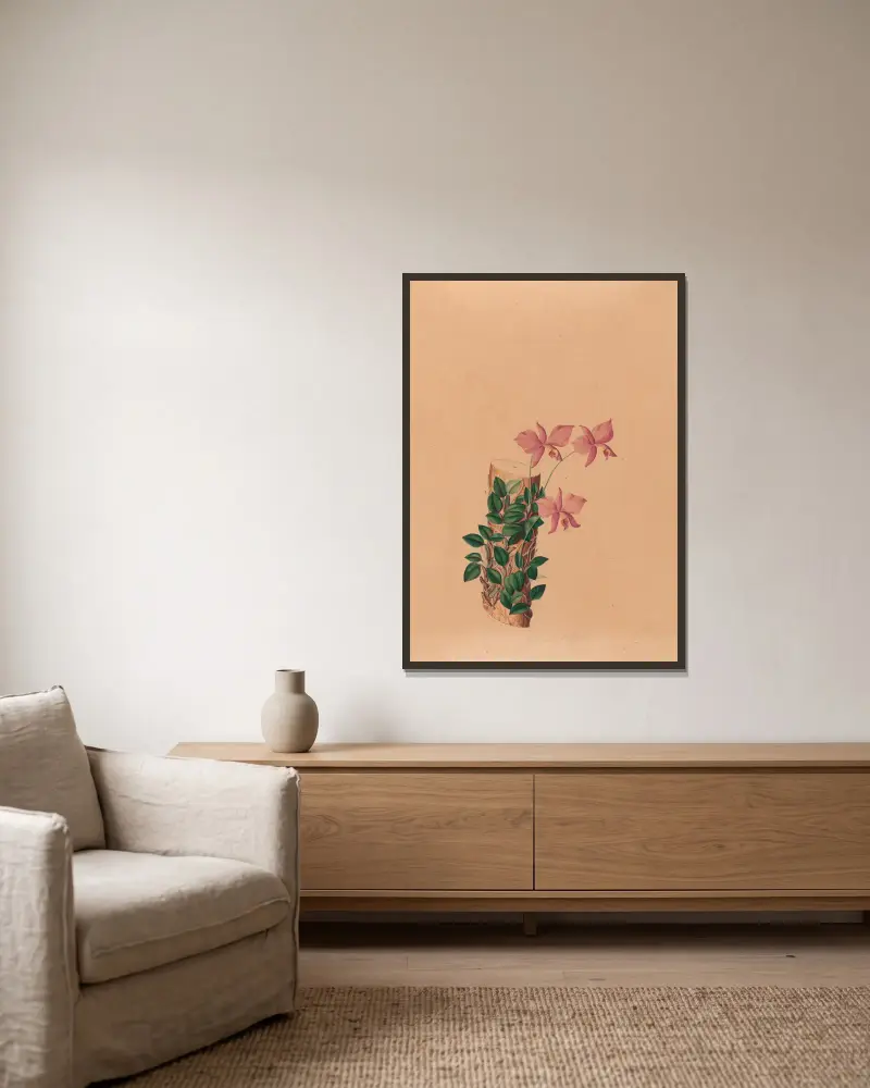Ikonografie der Orchideen Brasiliens, Tafel 54 von João Barbosa Rodrigues gerahmt an einer Wand