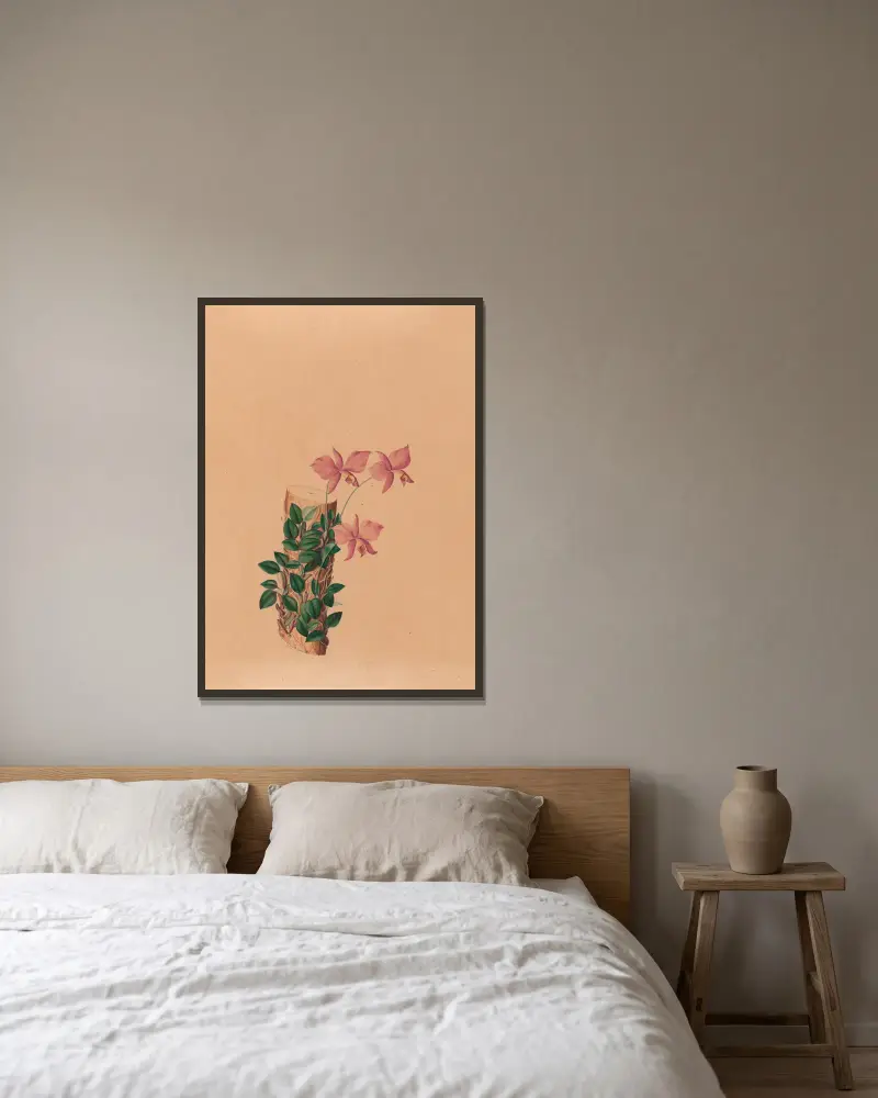 Ikonografie der Orchideen Brasiliens, Tafel 54 von João Barbosa Rodrigues gerahmt an einer Wand