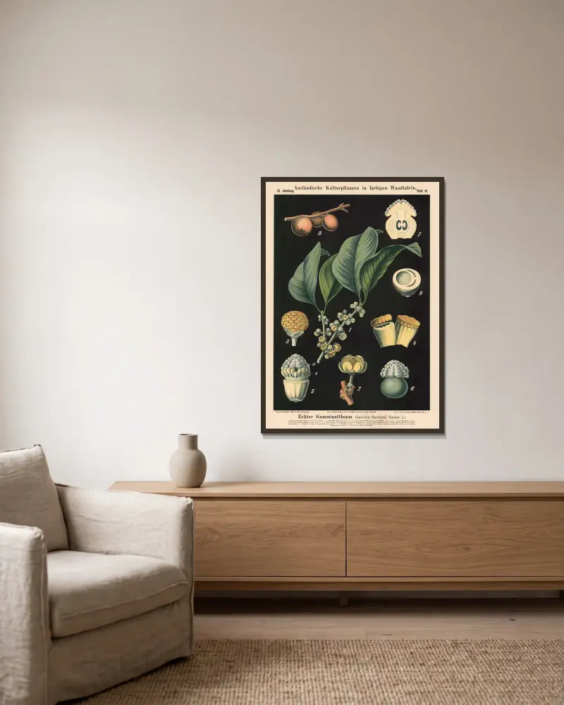 Echter Gummiguttbaum (Garcinia hanburyi Hooker f.) von Carl Bollmann gerahmt an einer Wand