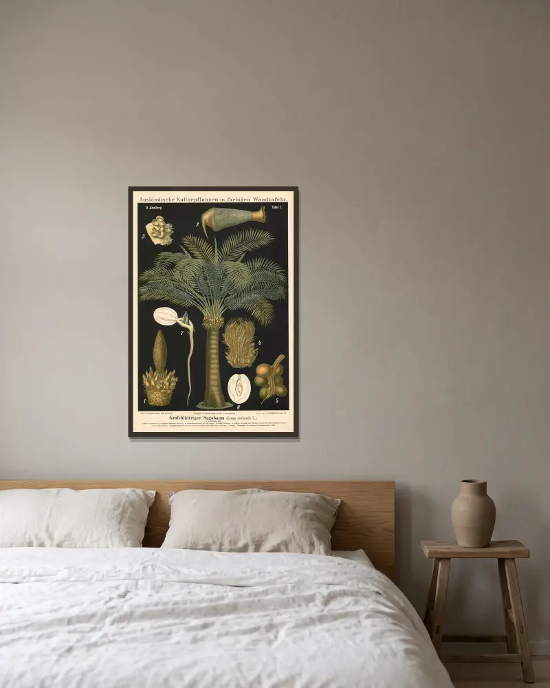 Fjäderbladig sagopalm (Cycas circinalis L.) av Carl Bollmann inramad på en vägg