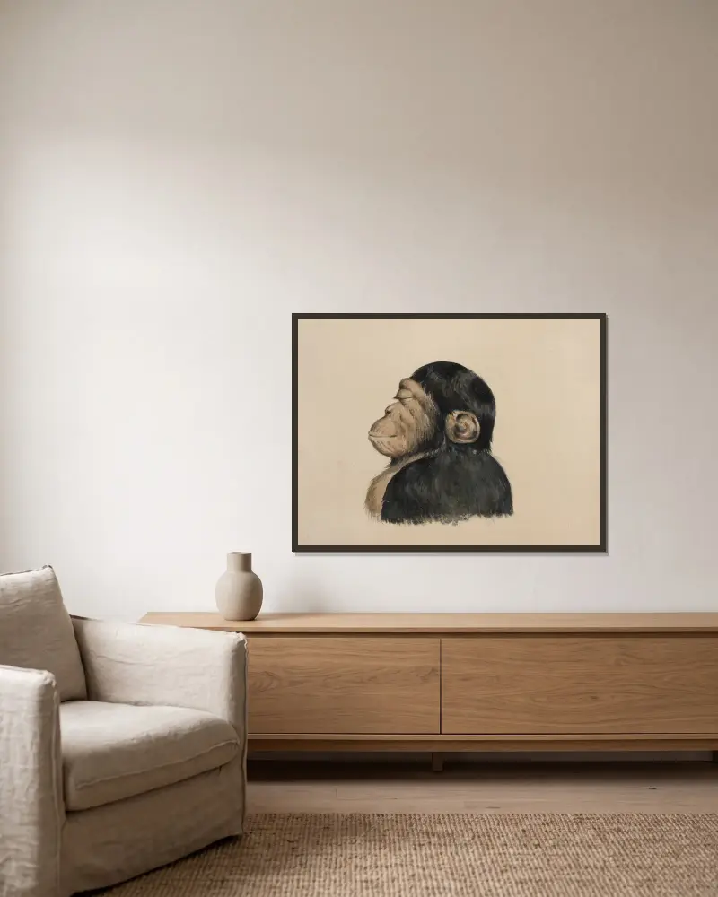 Orang-Utang von Felix Octavius Carr Darley gerahmt an einer Wand