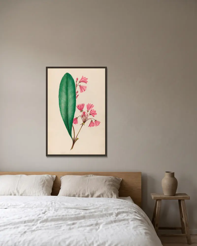 Teckningar av tropiska blommor och frukter från Sydamerika, plansch 1 av Charles Empson inramad på en vägg