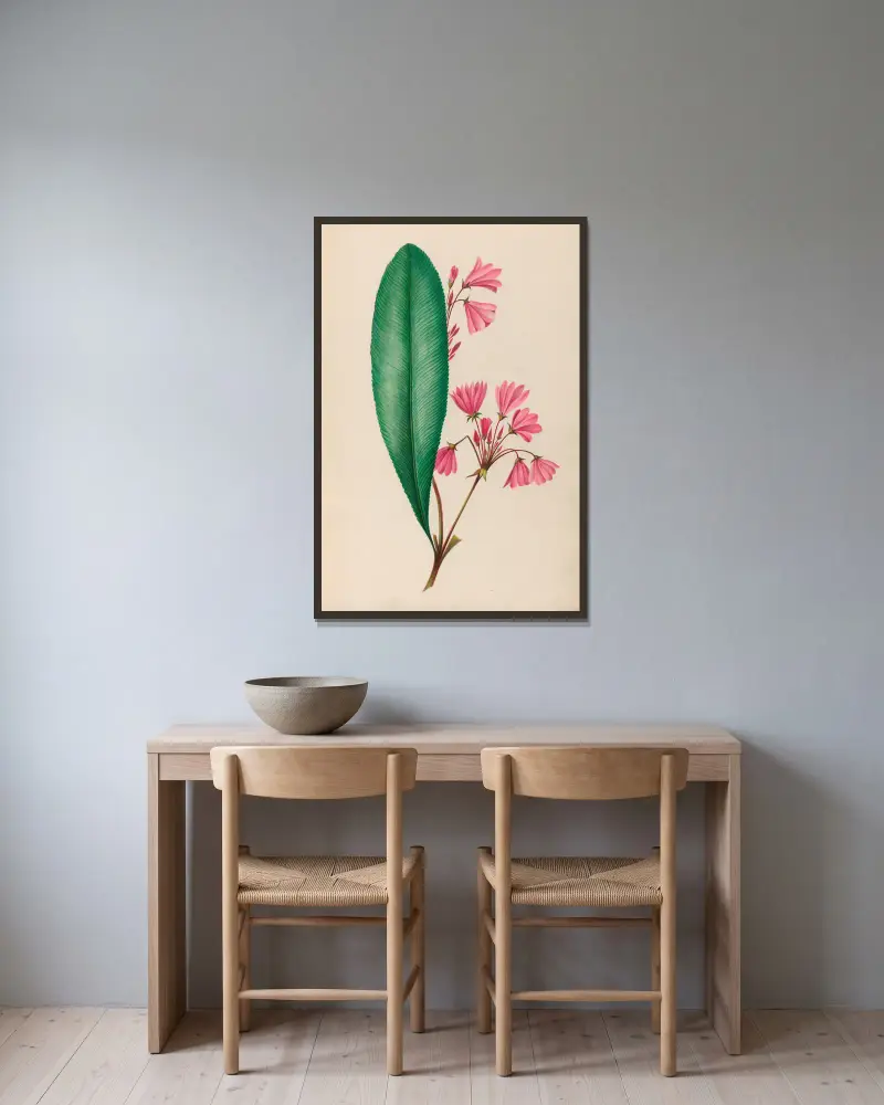 Teckningar av tropiska blommor och frukter från Sydamerika, plansch 1 av Charles Empson inramad på en vägg