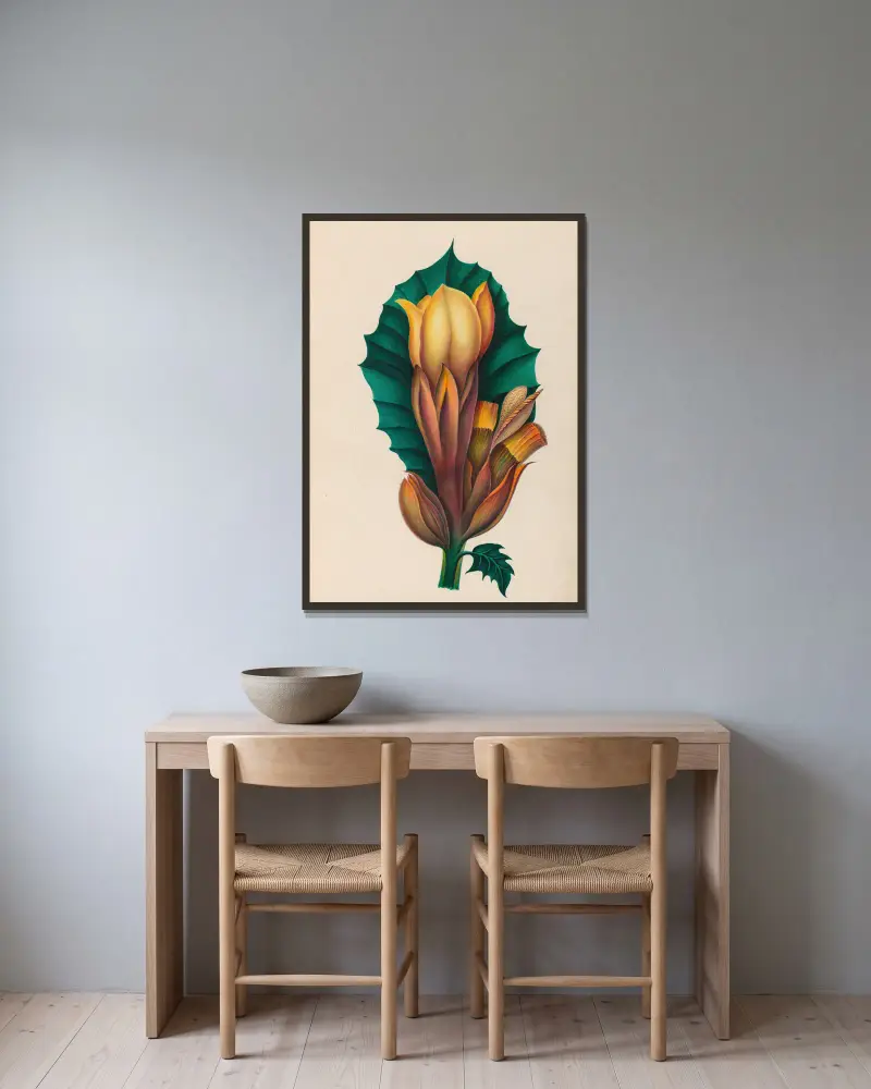 Teckningar av tropiska blommor och frukter från Sydamerika, plansch 2 av Charles Empson inramad på en vägg