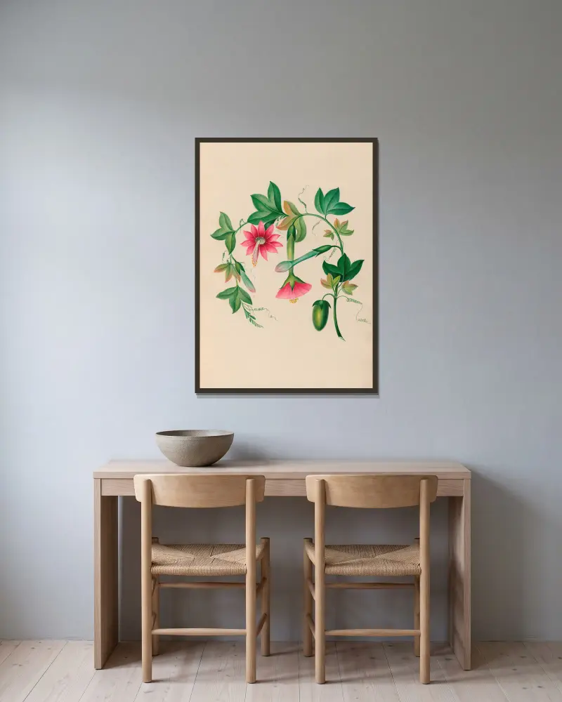 Teckningar av tropiska blommor och frukter från Sydamerika, plansch 3 av Charles Empson inramad på en vägg