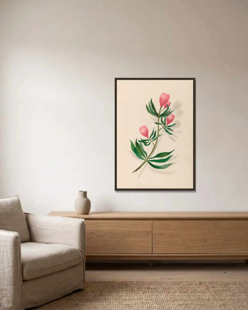Teckningar av tropiska blommor och frukter från Sydamerika, plansch 14 av Charles Empson inramad på en vägg