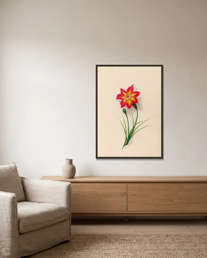 Teckningar av tropiska blommor och frukter från Sydamerika, plansch 19 av Charles Empson inramad på en vägg