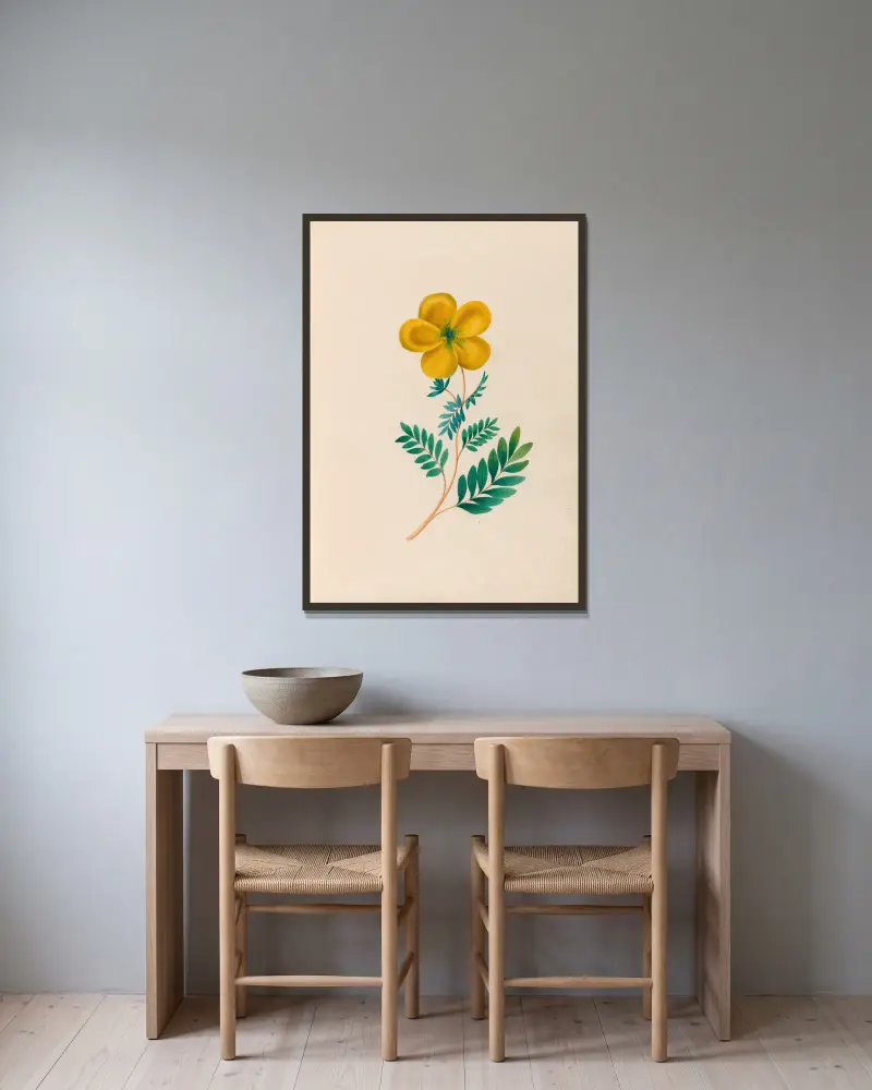 Teckningar av tropiska blommor och frukter från Sydamerika, plansch 22 av Charles Empson inramad på en vägg