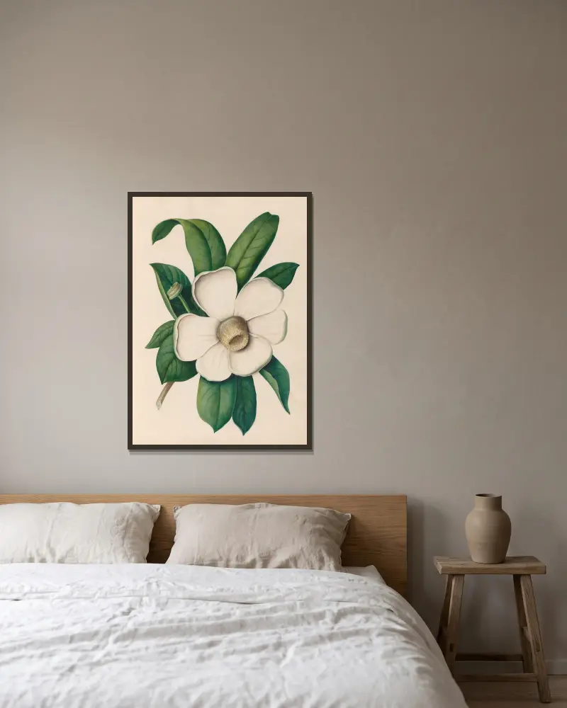 Teckningar av tropiska blommor och frukter från Sydamerika, plansch 25 av Charles Empson inramad på en vägg