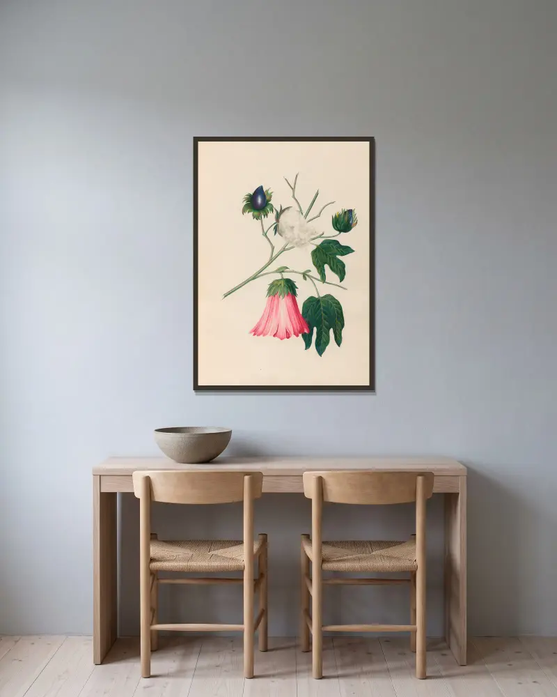 Teckningar av tropiska blommor och frukter från Sydamerika, plansch 29 av Charles Empson inramad på en vägg