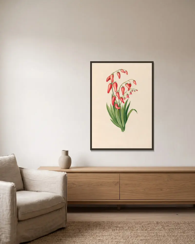 Teckningar av tropiska blommor och frukter från Sydamerika, pl. 39 av Charles Empson inramad på en vägg