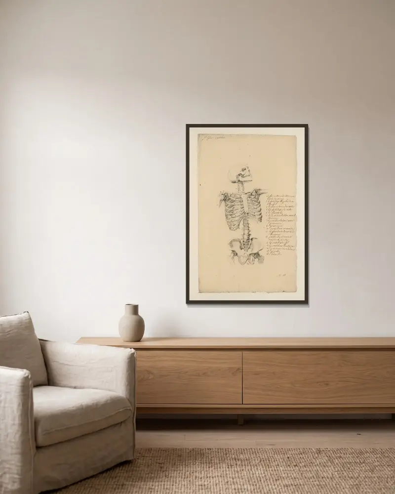 Cahiers d'Anatomie Pl.12 von Charles Monnet gerahmt an einer Wand