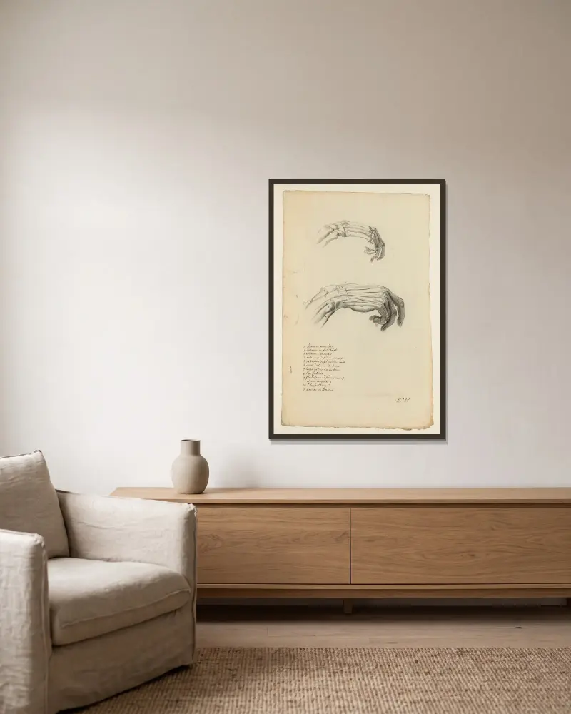 Cahiers d’Anatomie Pl.23 von Charles Monnet gerahmt an einer Wand