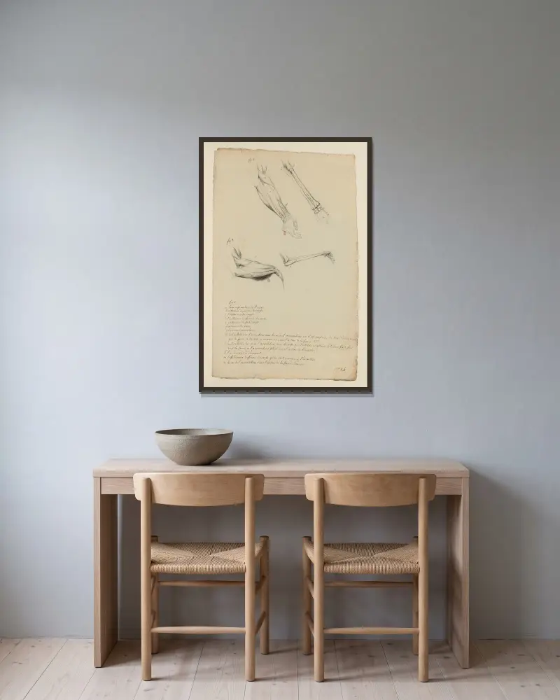 Cahiers d’Anatomie Pl.26 (18. Jahrhundert) von Charles Monnet gerahmt an einer Wand
