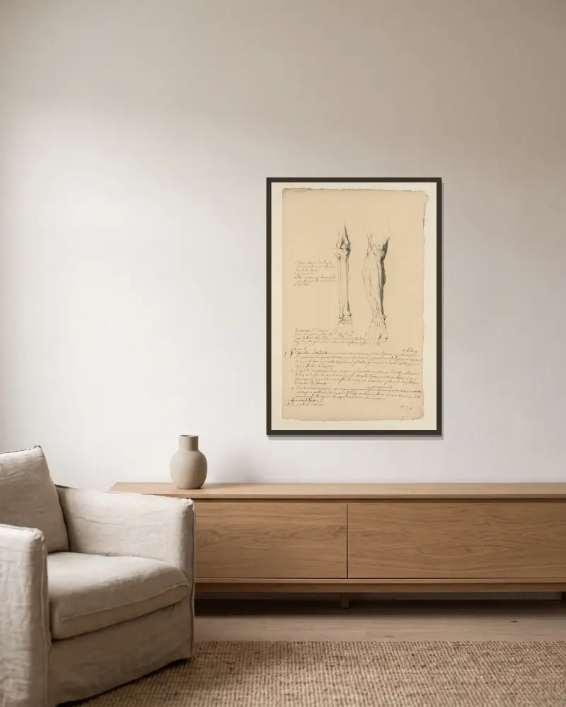 Cahiers d'Anatomie Pl.30 (18. Jahrhundert) von Charles Monnet gerahmt an einer Wand