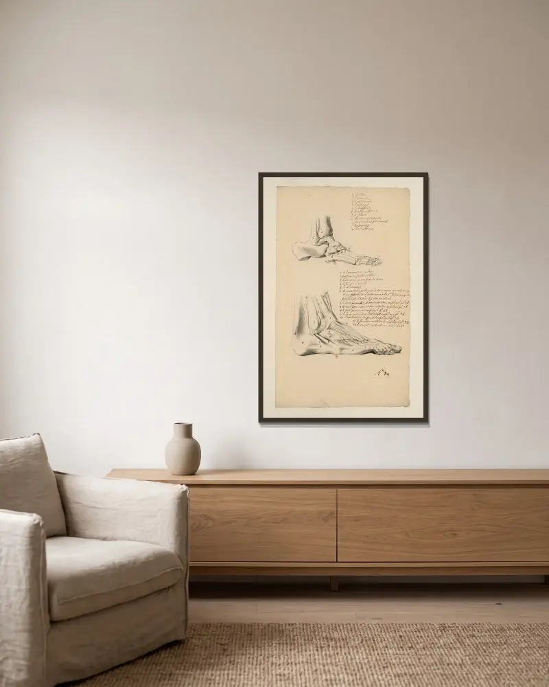 Anatomische Hefte Tafel 35 von Charles Monnet gerahmt an einer Wand