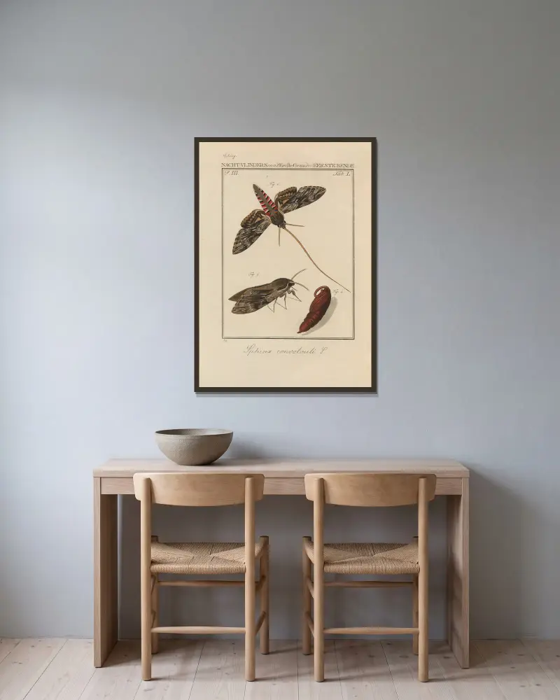Betrachtung der Wunder Gottes, Tafel 51 von Jan Christiaan Sepp gerahmt an einer Wand