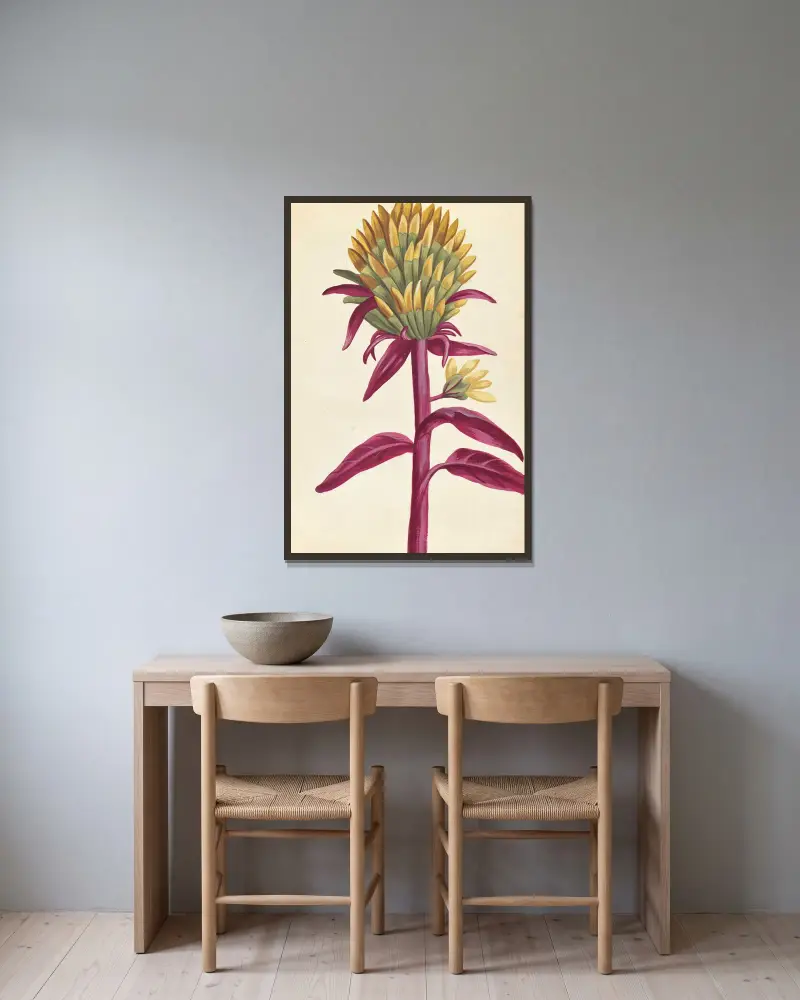 Fremde Pflanzen, Tafel 25 von Claude Aubriet gerahmt an einer Wand