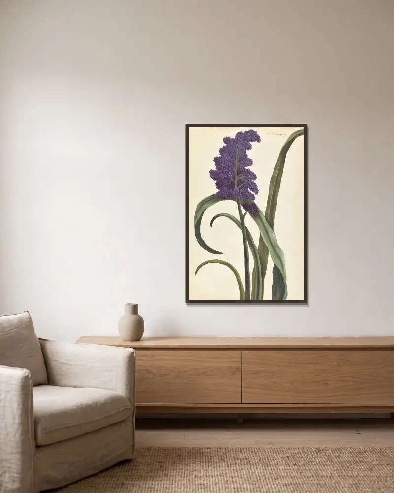 Plantes etrang par Aubriet Pl.028 av Claude Aubriet inramad på en vägg