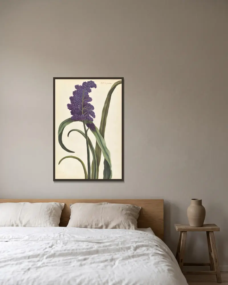Plantes etrang par Aubriet Pl.028 av Claude Aubriet inramad på en vägg