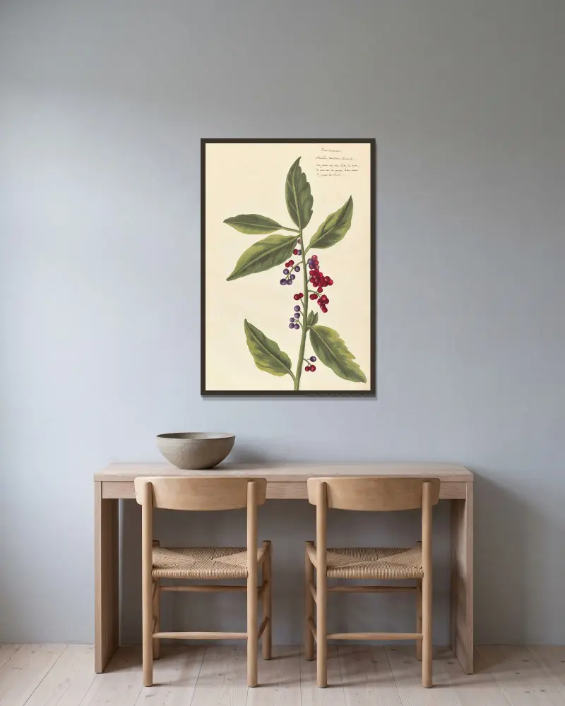 Fremde Pflanzen, Tafel 31 von Claude Aubriet gerahmt an einer Wand