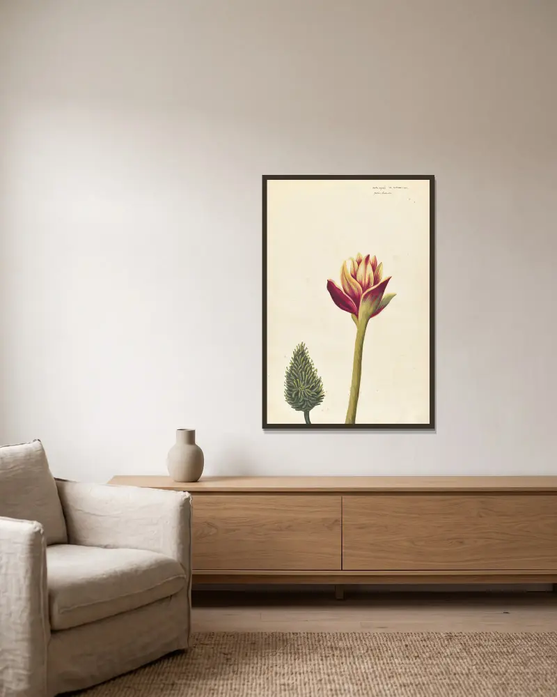 Fremde Pflanzen, Tafel 32 von Claude Aubriet gerahmt an einer Wand