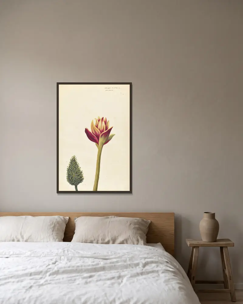 Fremde Pflanzen, Tafel 32 von Claude Aubriet gerahmt an einer Wand