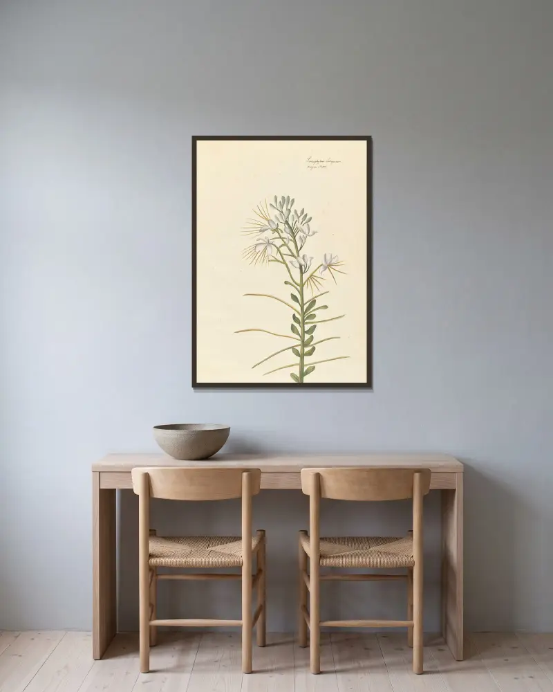 Plantes etrang par Aubriet Pl.039 av Claude Aubriet inramad på en vägg