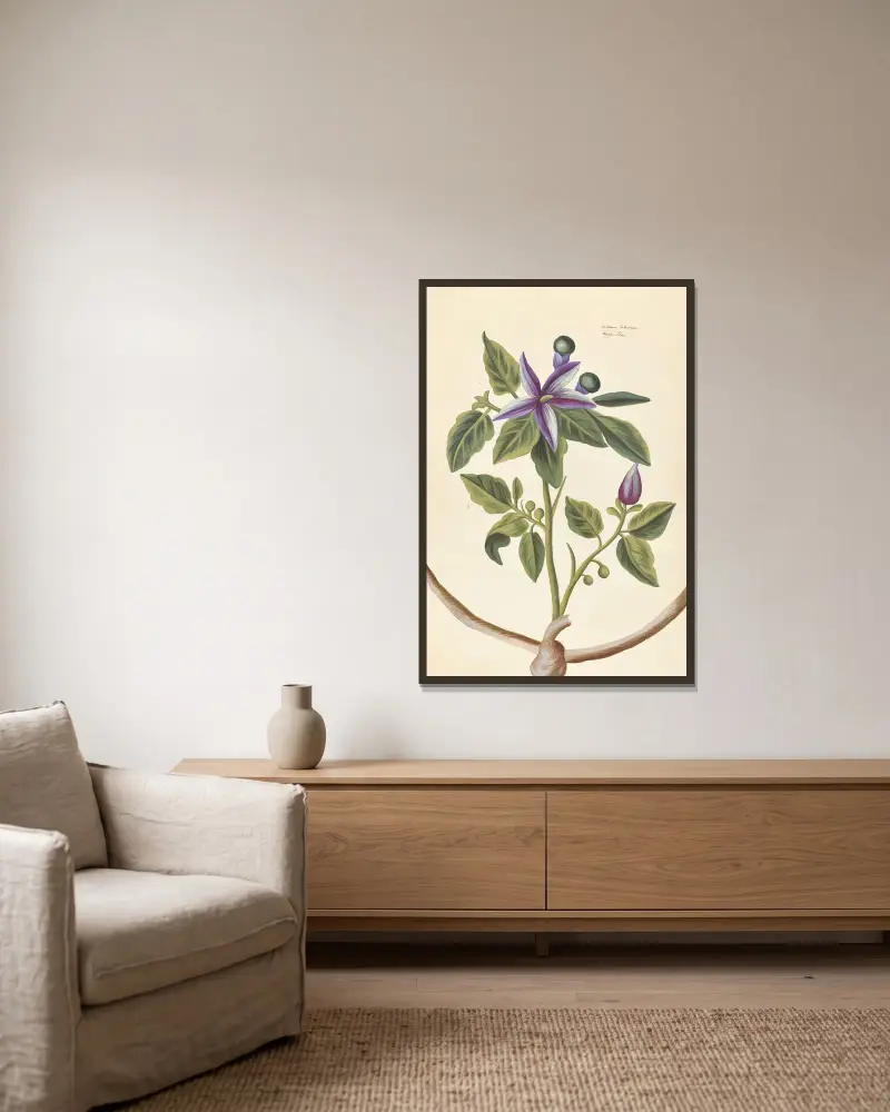 Plantes etrang par Aubriet Pl.072 av Claude Aubriet inramad på en vägg