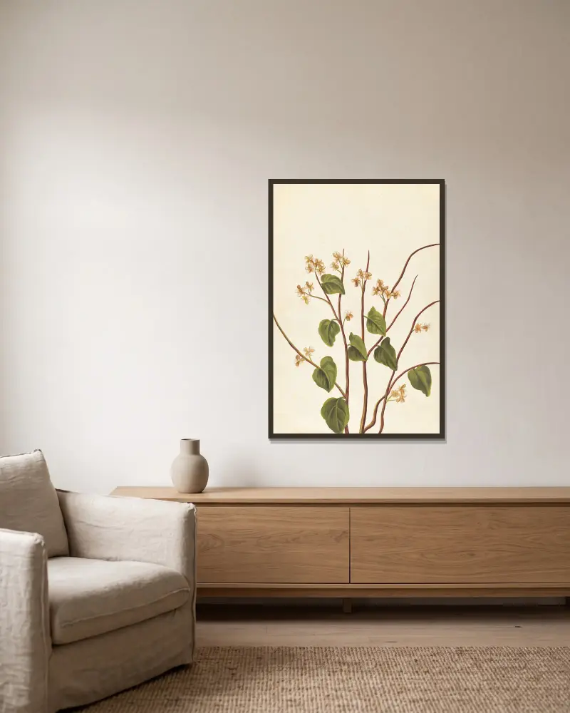 Fremde Pflanzen, Tafel 75 von Claude Aubriet gerahmt an einer Wand
