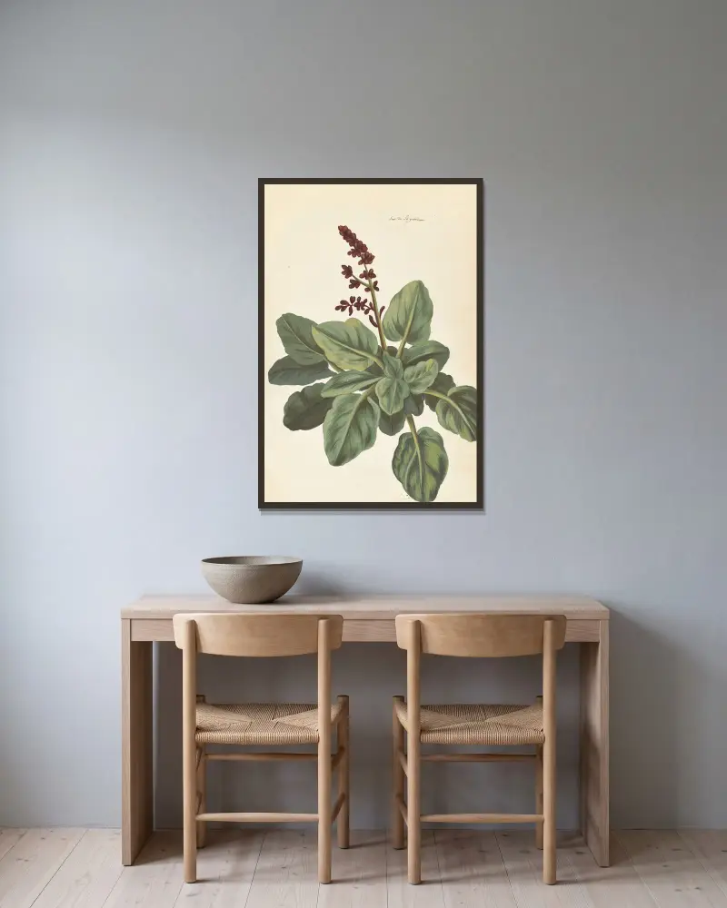 Fremde Pflanzen, Tafel 76 von Claude Aubriet gerahmt an einer Wand